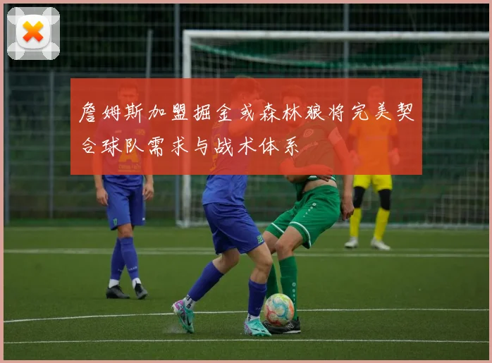 詹姆斯加盟掘金或森林狼将完美契合球队需求与战术体系