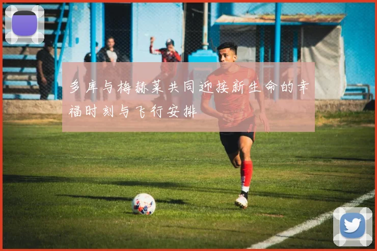 多库与梅赫莱共同迎接新生命的幸福时刻与飞行安排